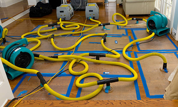 Professional Sewage Cleanup technician working in Moline, IL